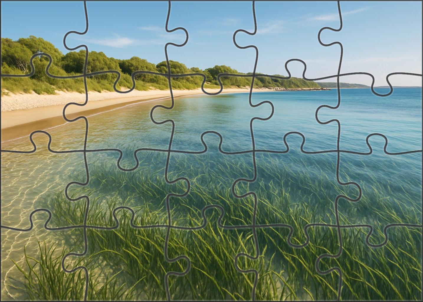 Seagrass Bay Sanctuary Puzzle For Adults