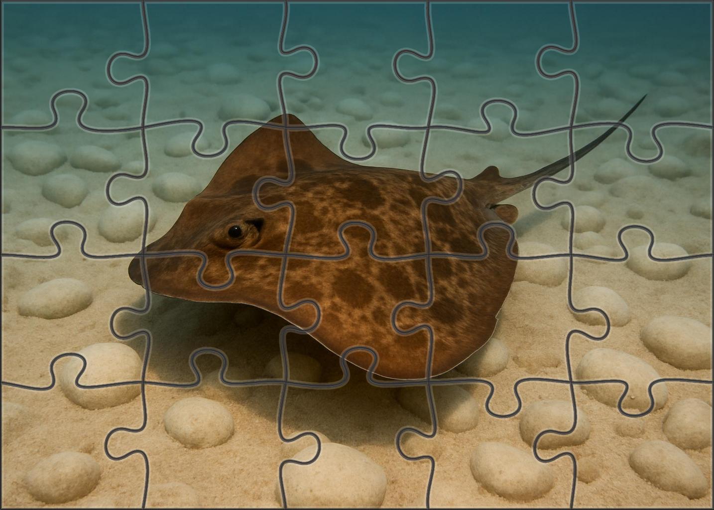 Dusky Reef Ray Flattened Cartilaginous Fish With Soft Brown Patterning Easy Puzzles