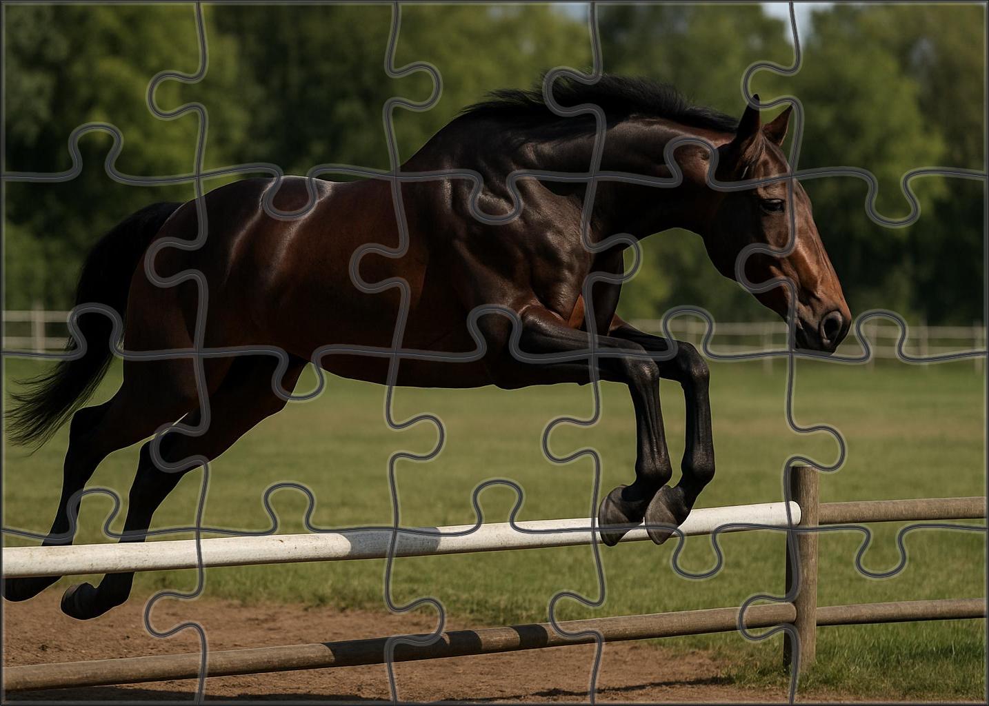 Maple Ridge Warmblood Gelding Challenging Puzzles