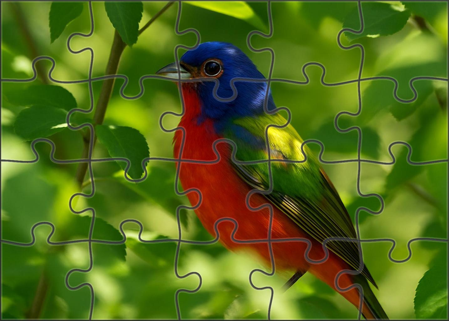 Painted Bunting Rainbow Jewel Of Dense Thickets Puzzle For Kids