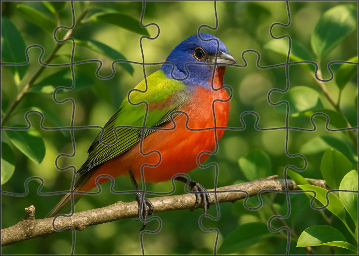 Painted Bunting Rainbow Songster Puzzle Fun