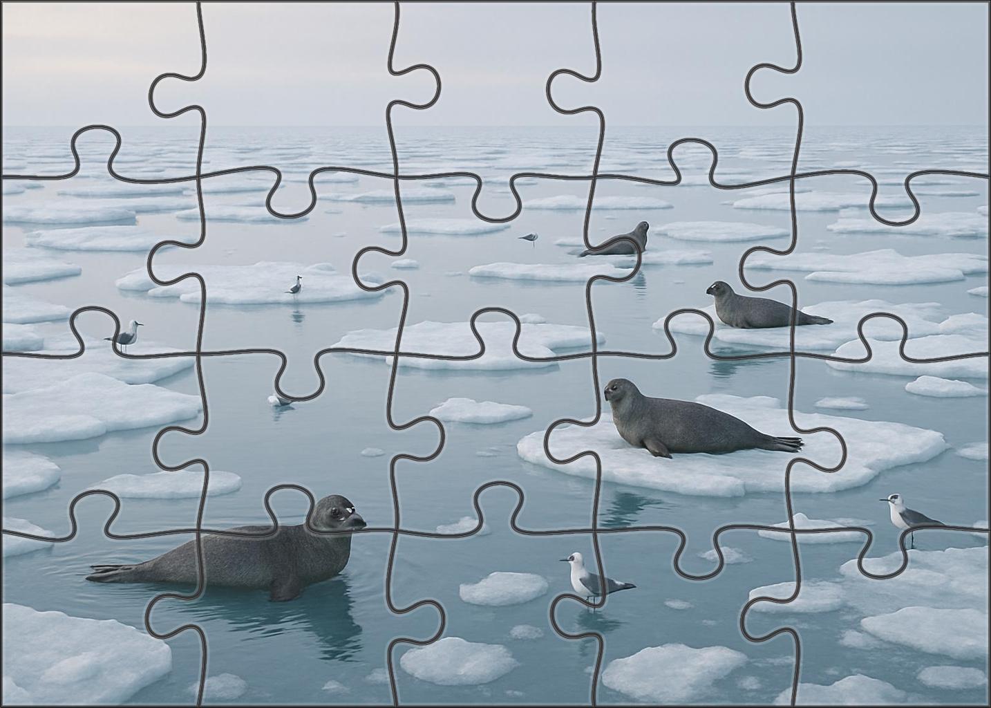 Frost Edge Drift Icy Surface Floes In Pale Winter Light 20 Piece Puzzle