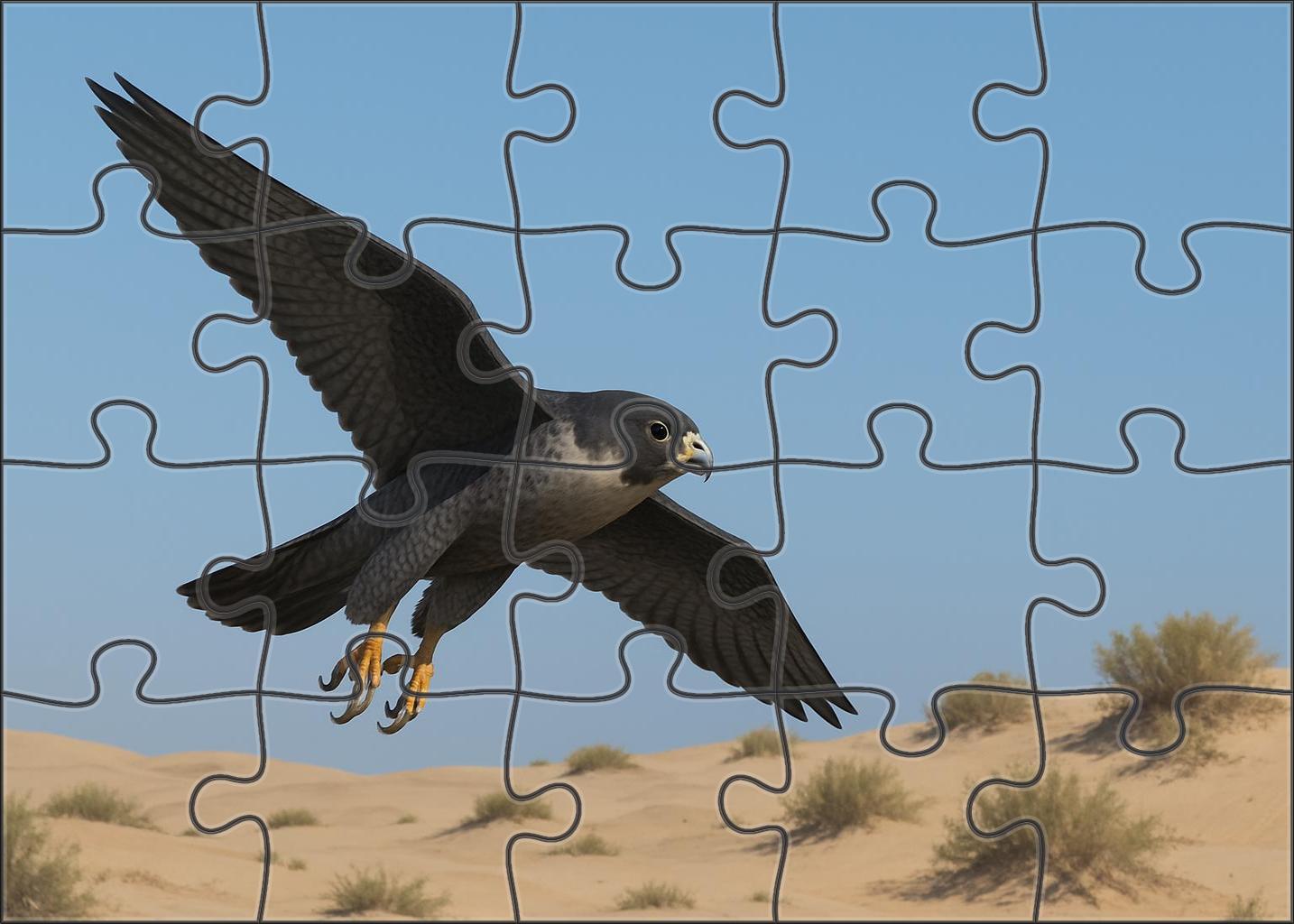 Sooty Falcon The Swift Desert Hunter Easy Puzzles