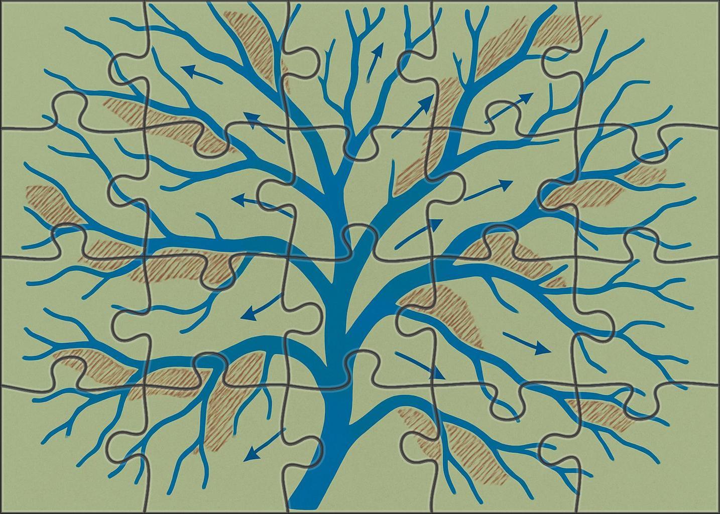 River Delta Hydrodynamic Flowchart Mini Puzzle