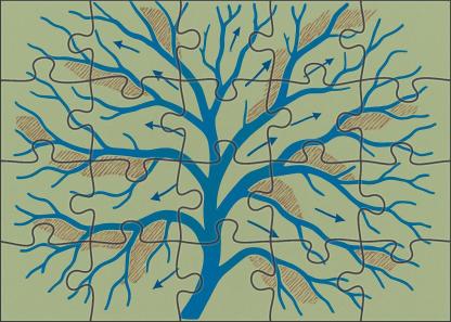 River Delta Hydrodynamic Flowchart Mini Puzzle