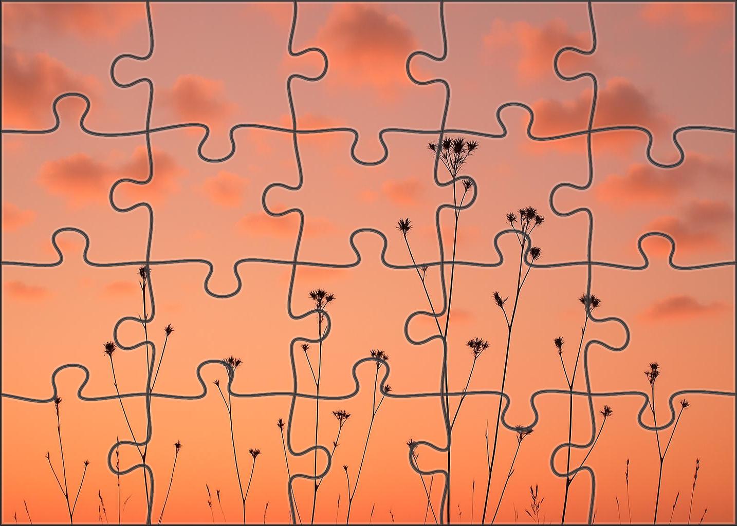 Coral Serenade Skies Puzzle For Kids