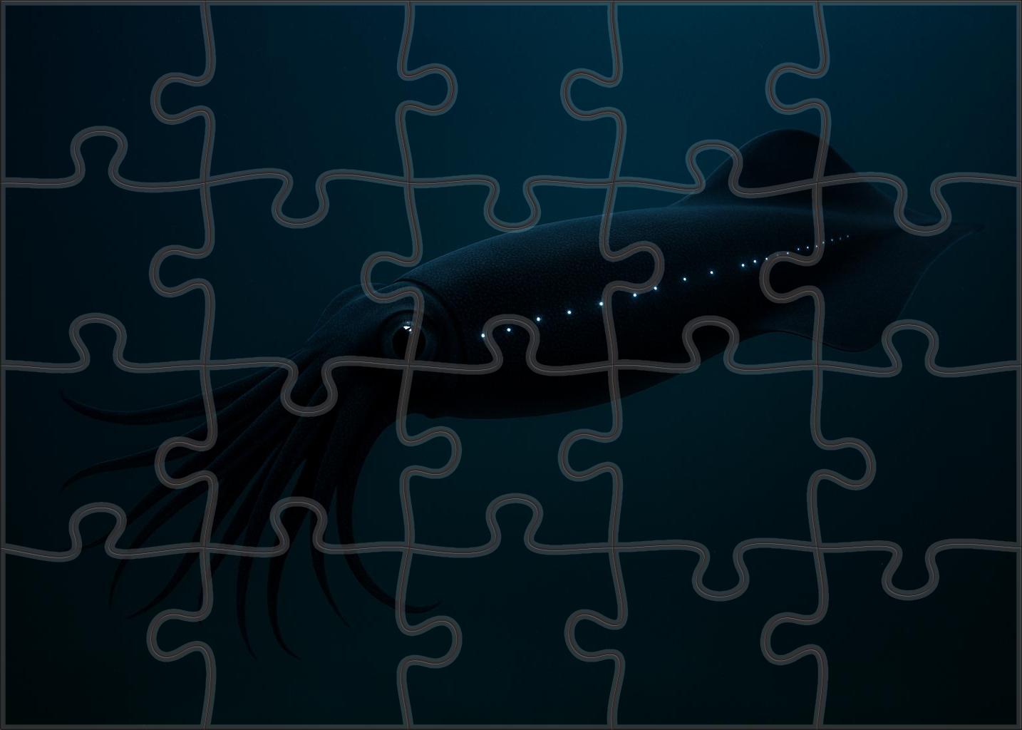 Dusky Velvet Squid Nocturnal Soft-bodied Hunter Easy Puzzles