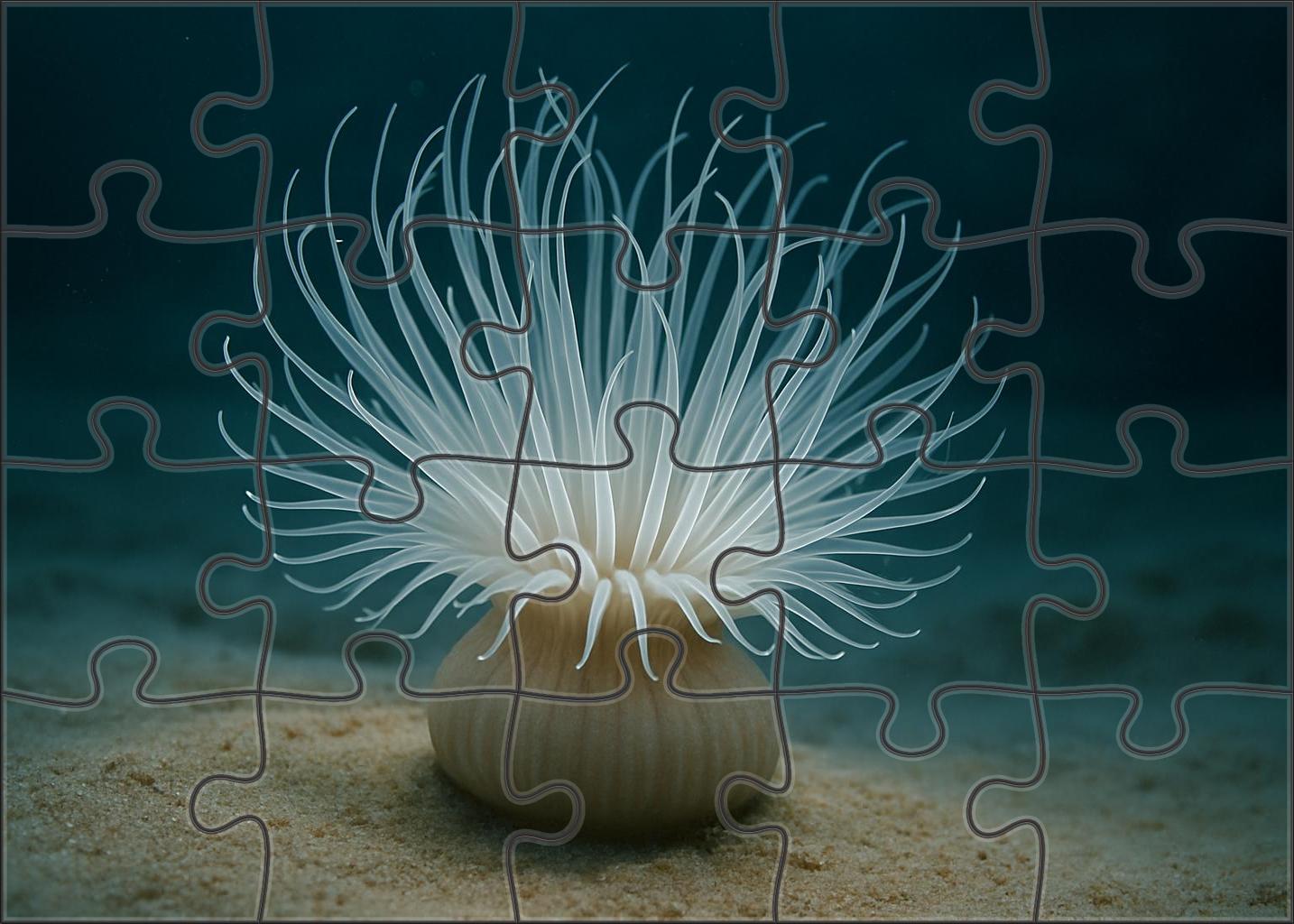 Pearl Blossom Anemone Tentacled Spectacle Of Soft Currents 1000 Piece Puzzle