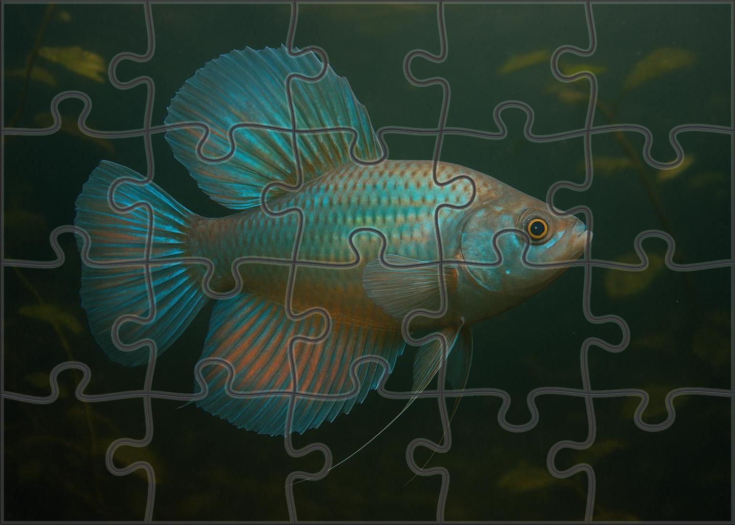 Mystic Fanfish Deep River Resident With Radiating Fins And Sophisticated Sensory Organs Puzzle Collection