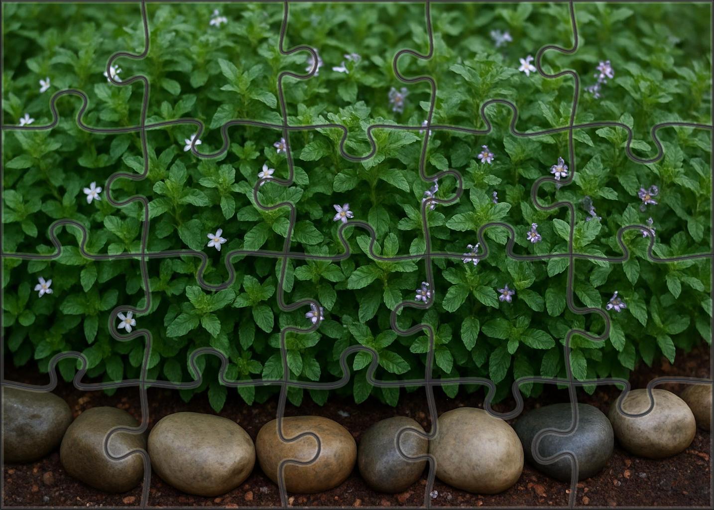 Verdant Herb Border Puzzle Challenge