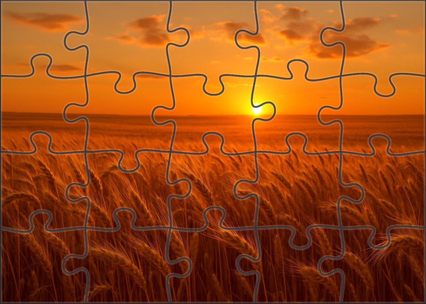 Golden Wheatfield Glow 50 Piece Puzzle