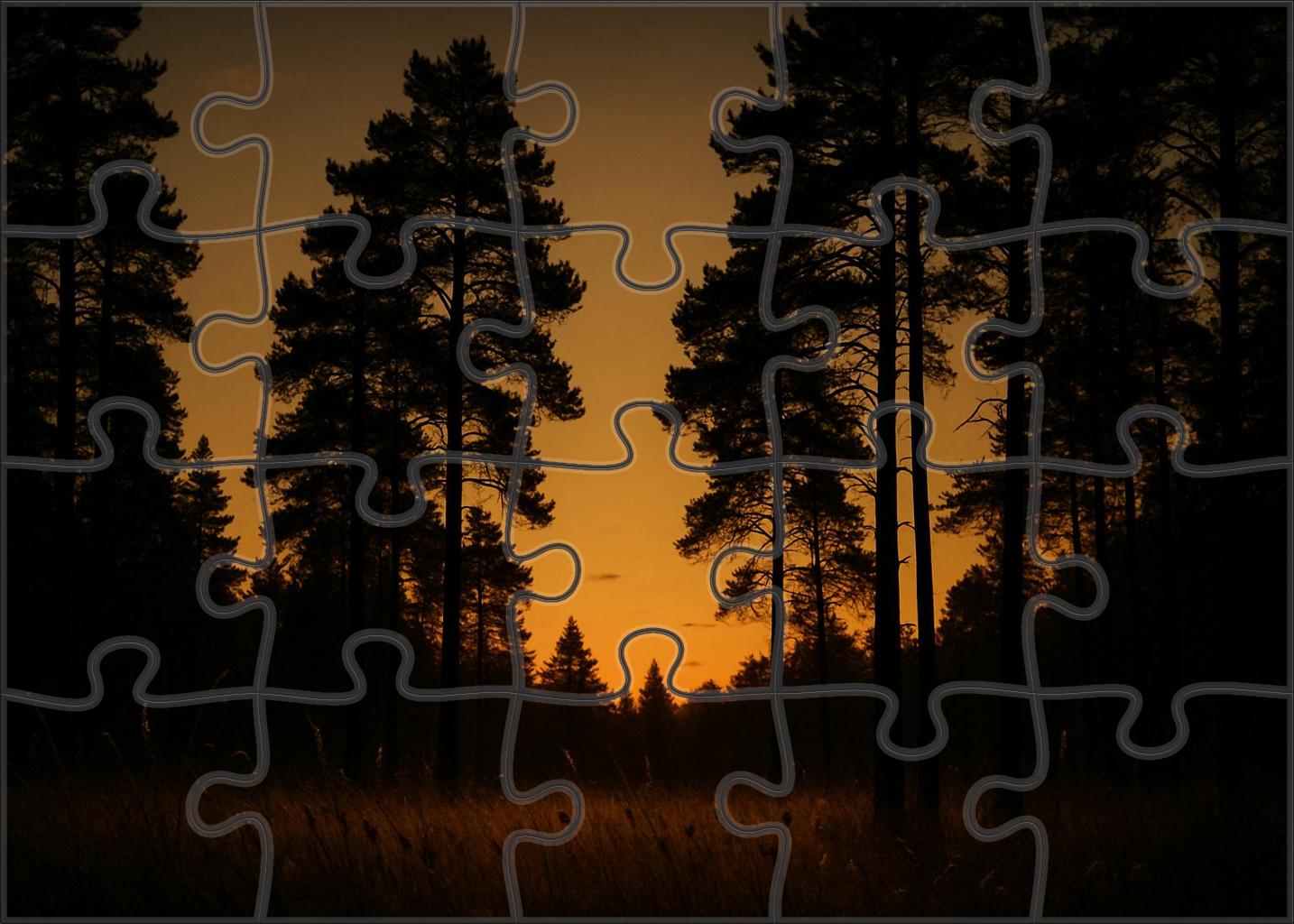 Golden Twilight Wood 100 Piece Puzzle