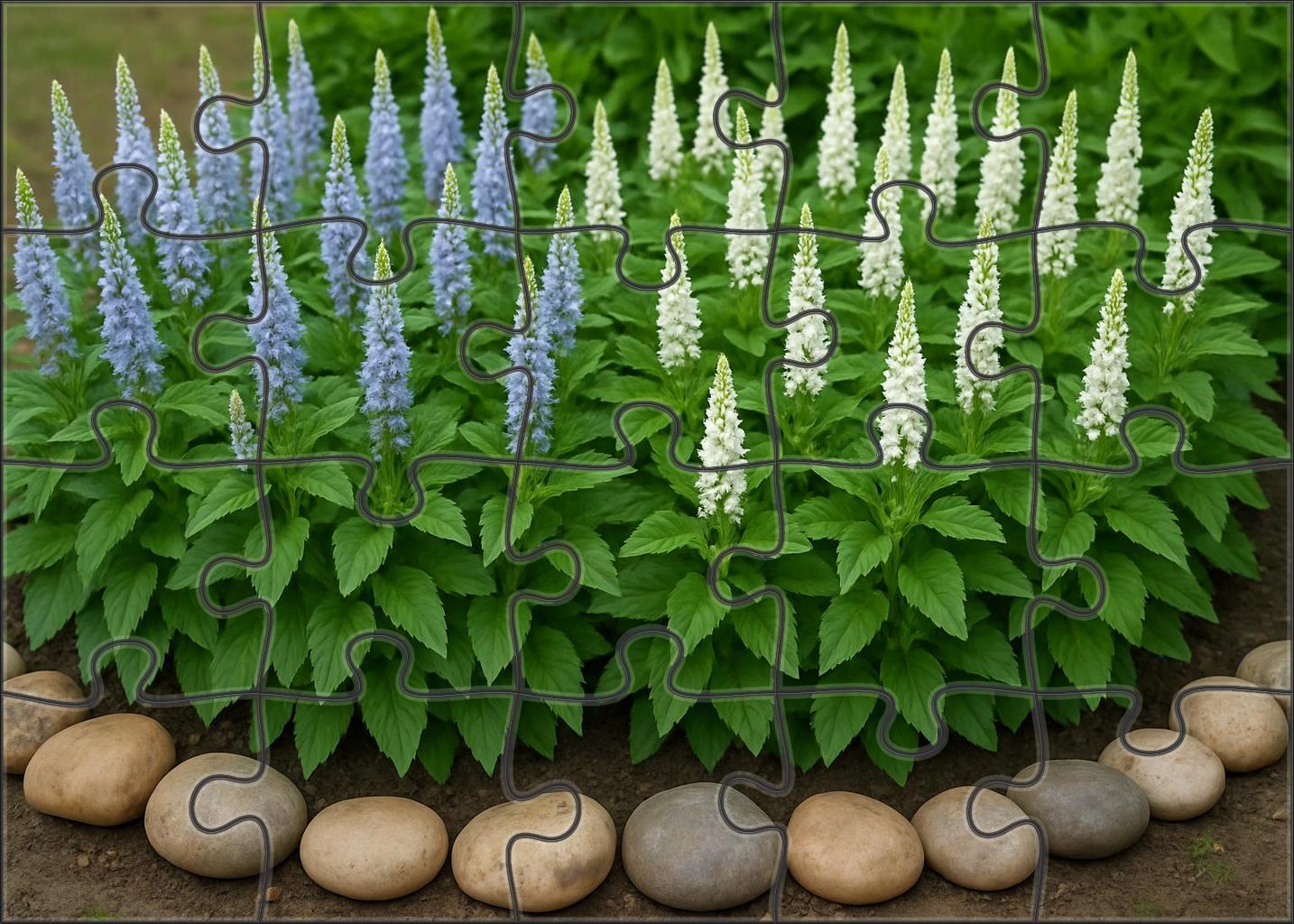 Serene Herb Garden Border Puzzle Collection