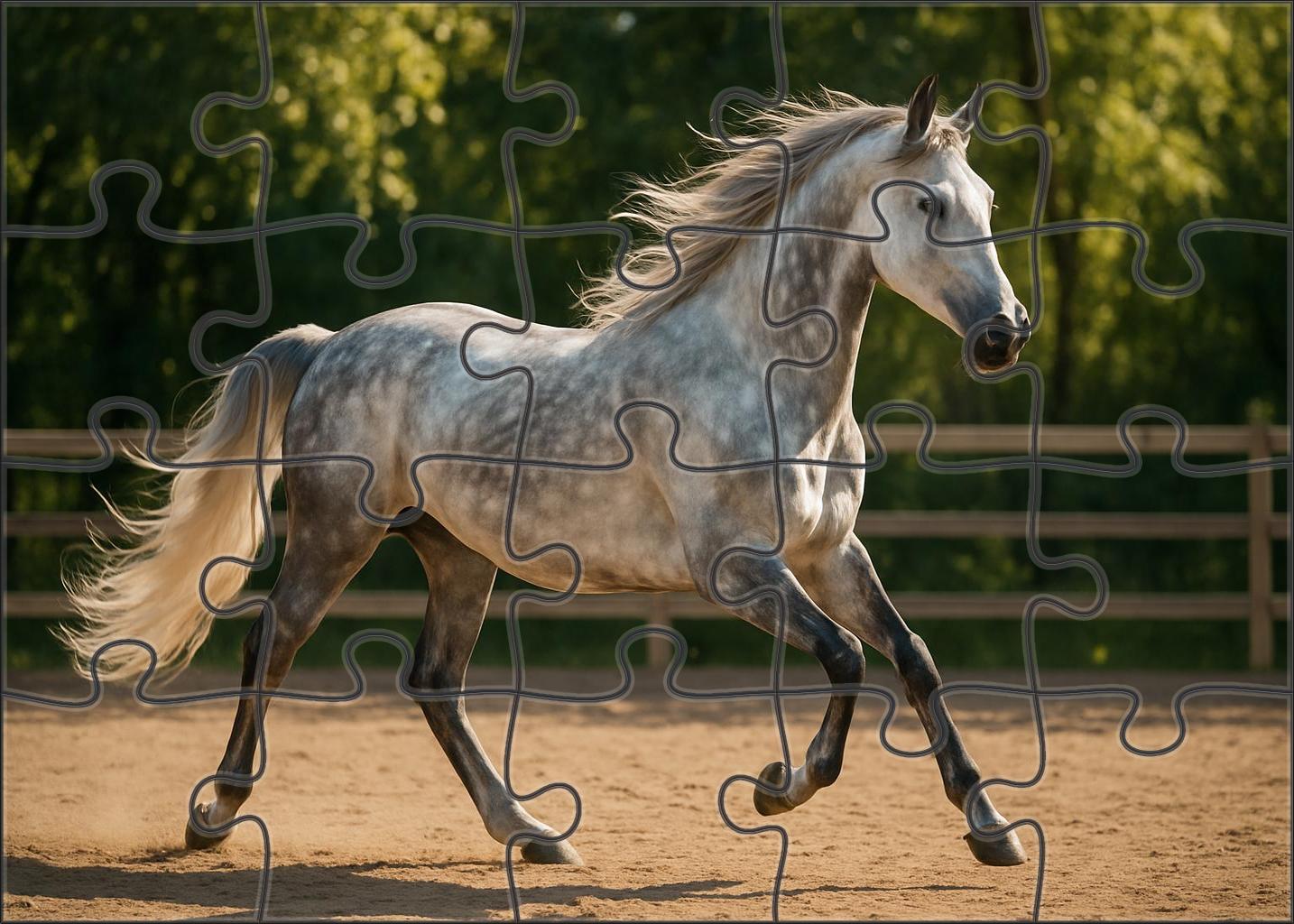 Willowbrook Silver Charm Graceful Dapple Gray Mare With Fluid Dressage Movements Easy Puzzles