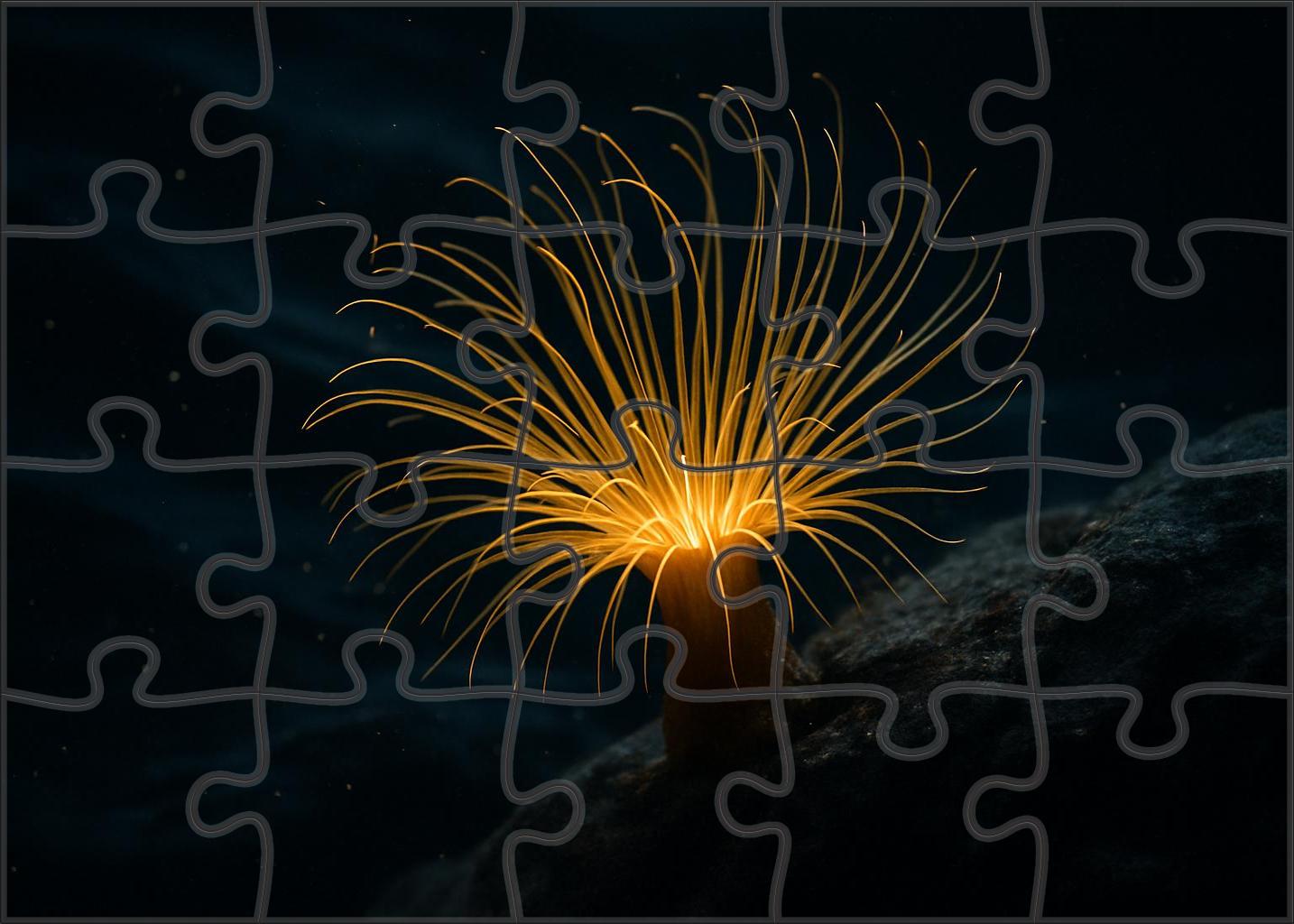 Golden Thread Anemone Delicate Predator With Radiant Tentacles 200 Piece Puzzle