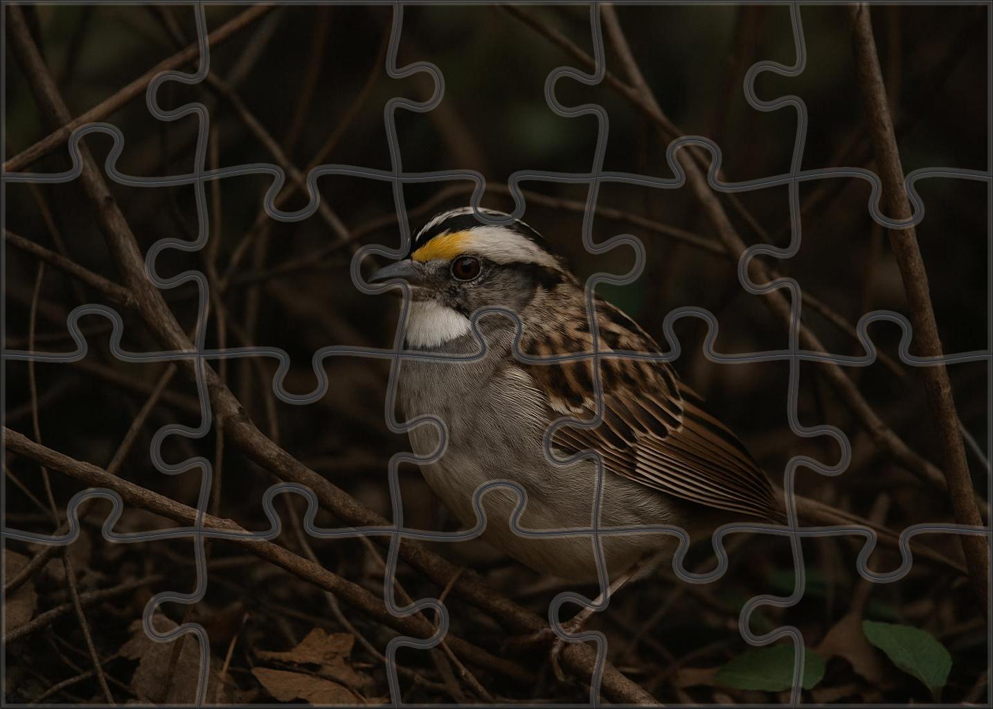 White-throated Sparrow Melodious Understory Dweller Custom Jigsaw Puzzle