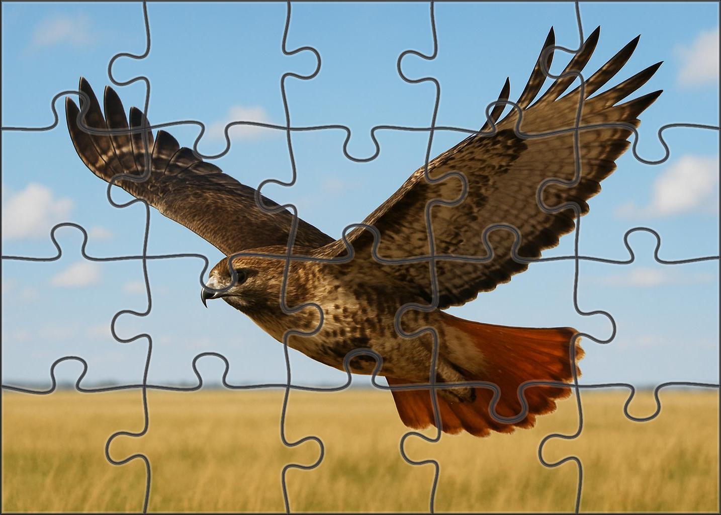 Red-tailed Hawk Soaring Raptor Large Format Puzzle