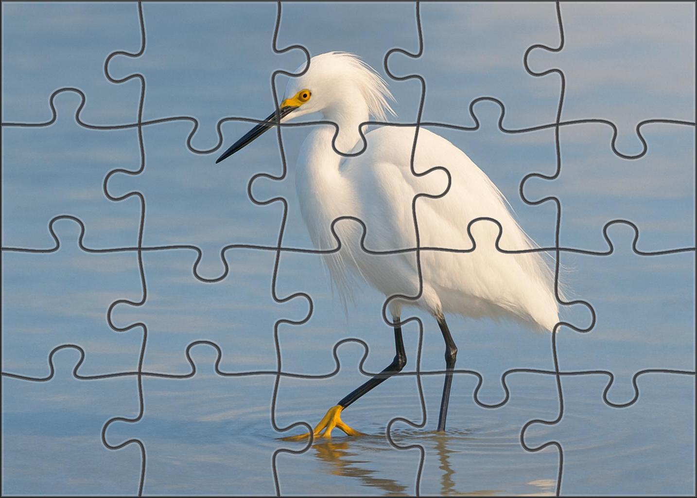 Snowy Egret Elegant Shoreline Stalker Puzzle Fun