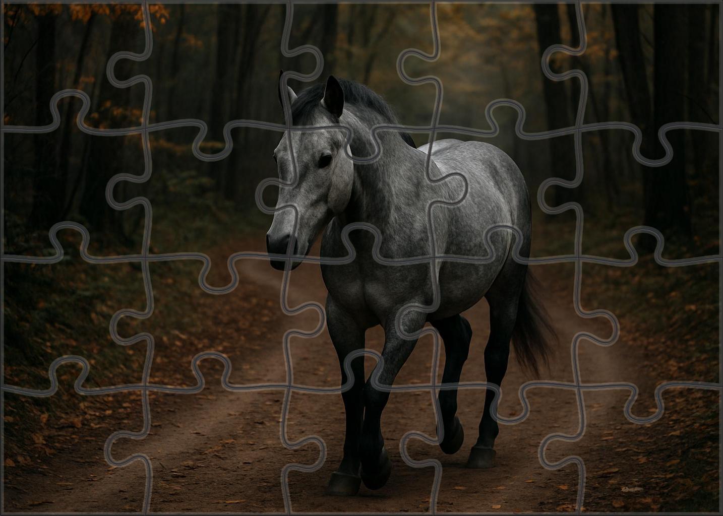 Stormbreaker Welsh Pony Stallion Challenging Puzzles