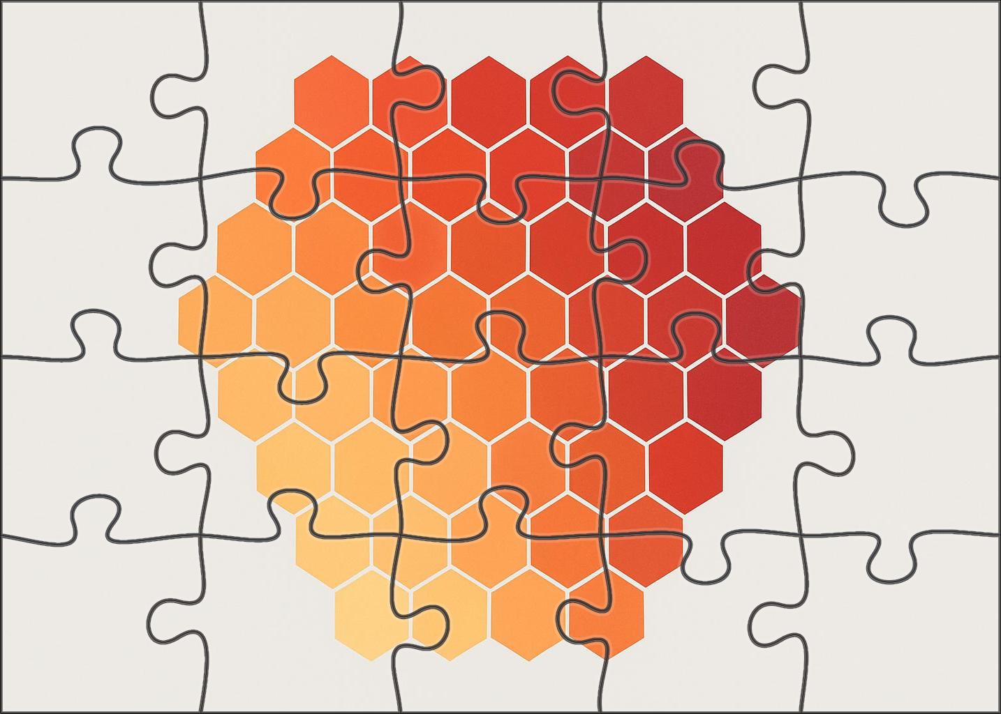 Hexagonal Grid Demographic Overlay 300 Piece Puzzle
