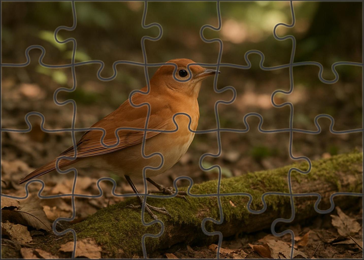 Veery Forest Whisperer Puzzle Fun
