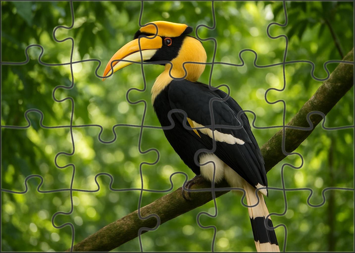 Great Hornbill The Forests Regal Herald Puzzle Challenge