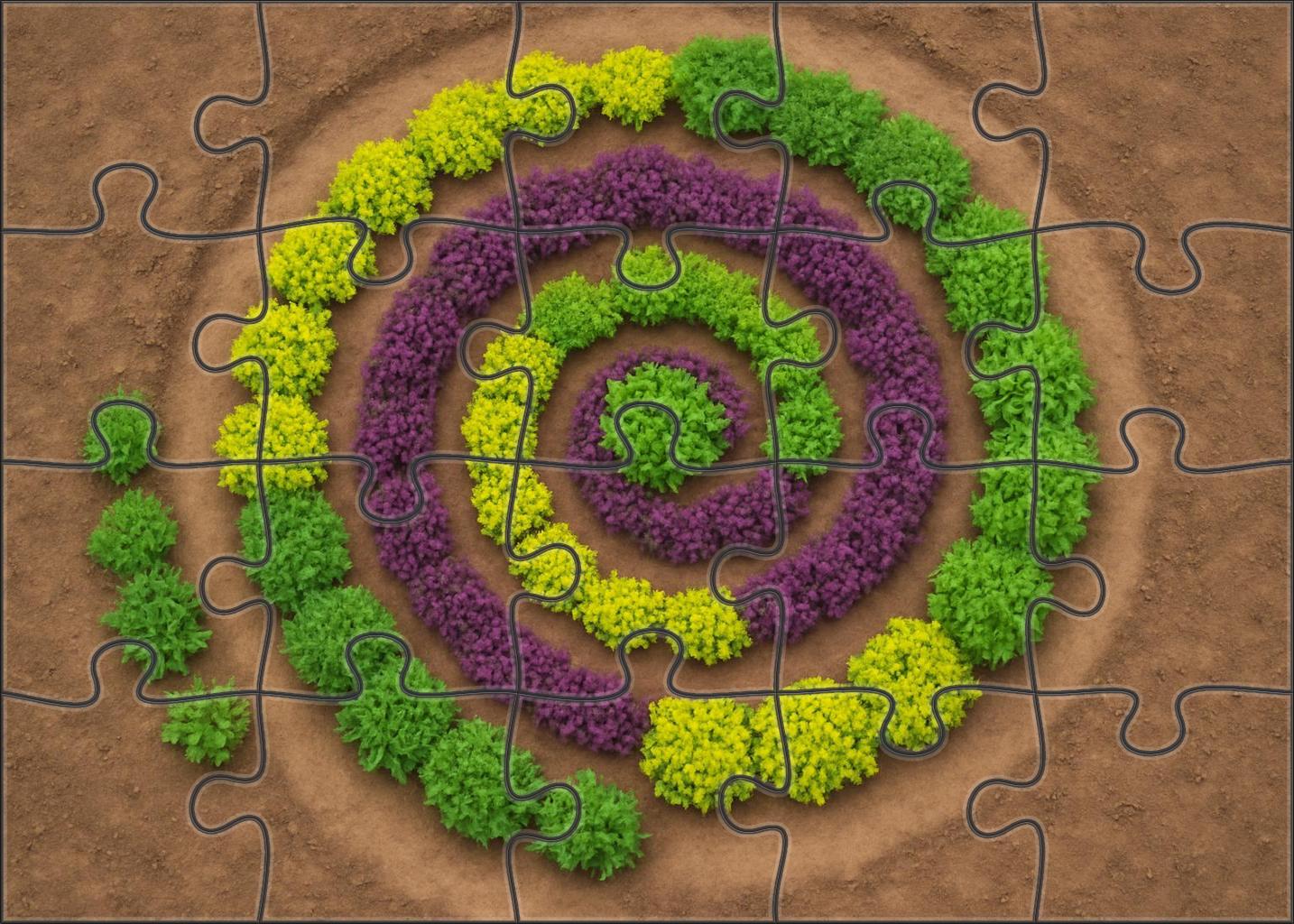 Wild Herb Spiral Garden Challenging Puzzles