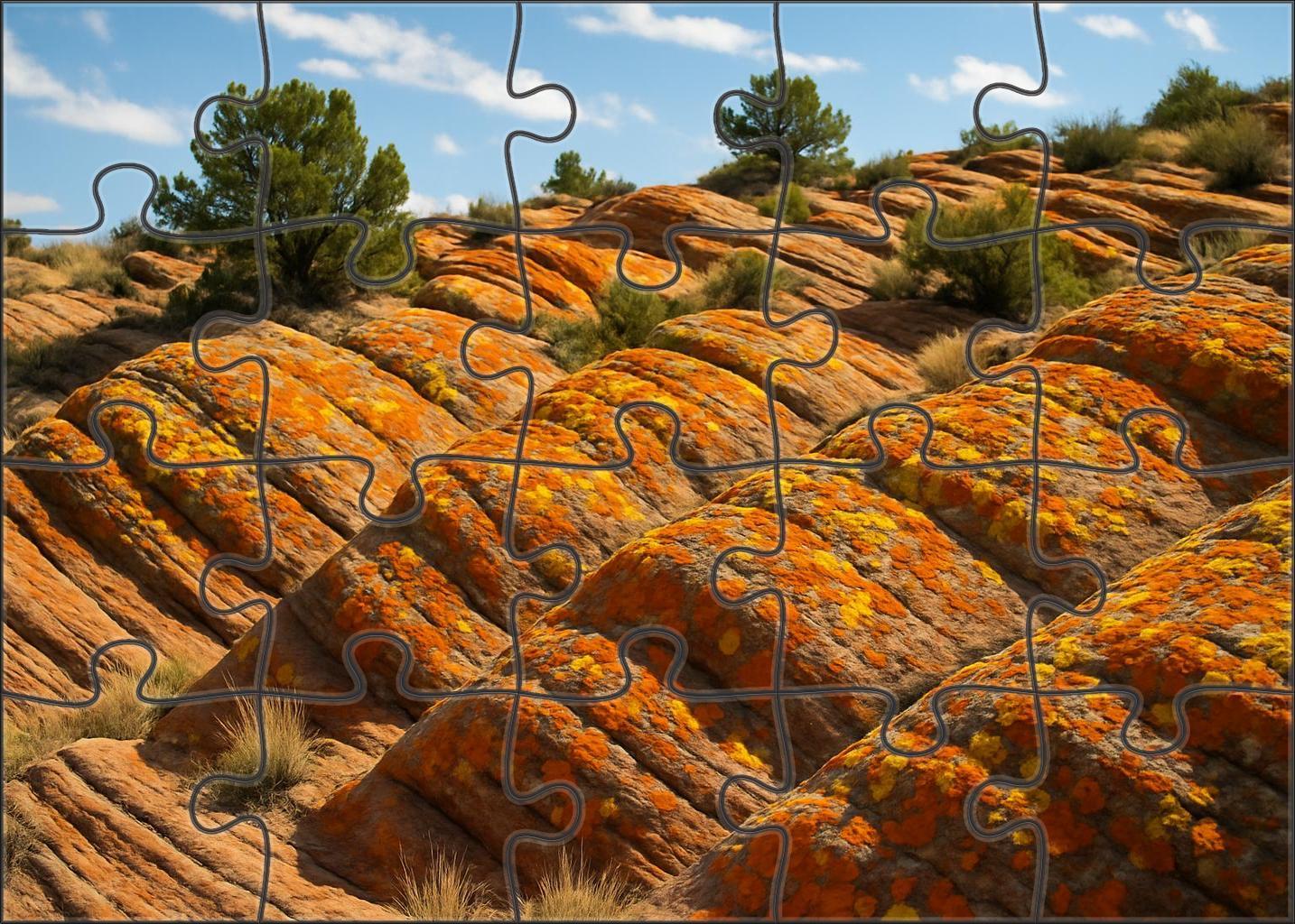 Amber Lichen Heights Puzzle Challenge