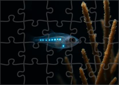 Moonveil Glimmerfish Small Deep Water Fish With Translucent Body And Bioluminescent Patterns 100 Piece Puzzle