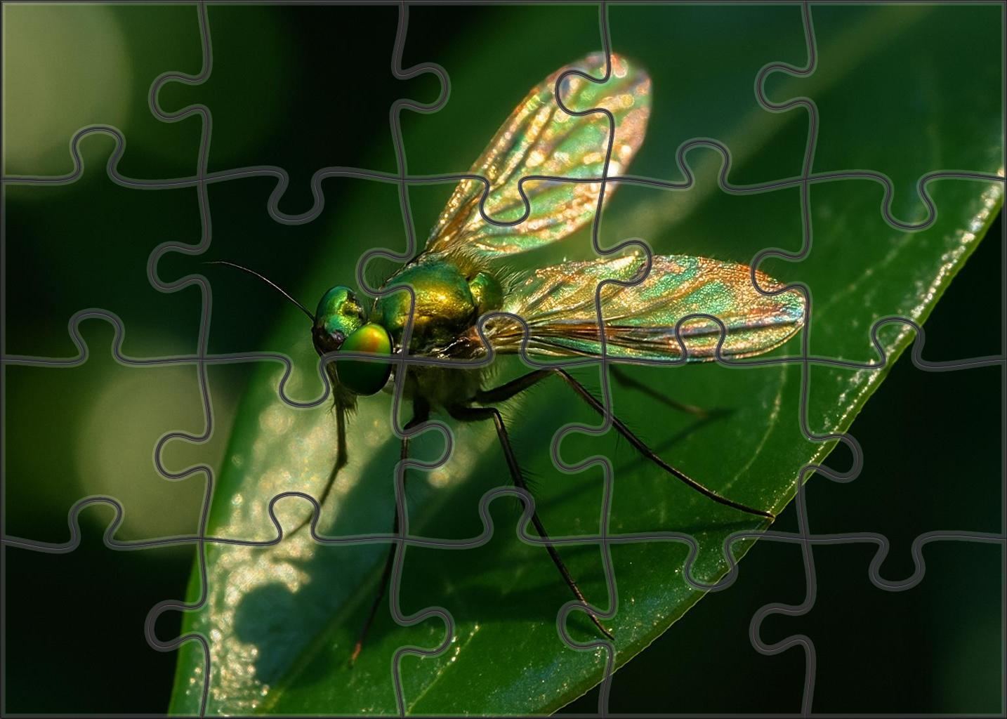 Gilded Leafhopper Arboreal Insect With Iridescent Wings And Camouflage Large Format Puzzle