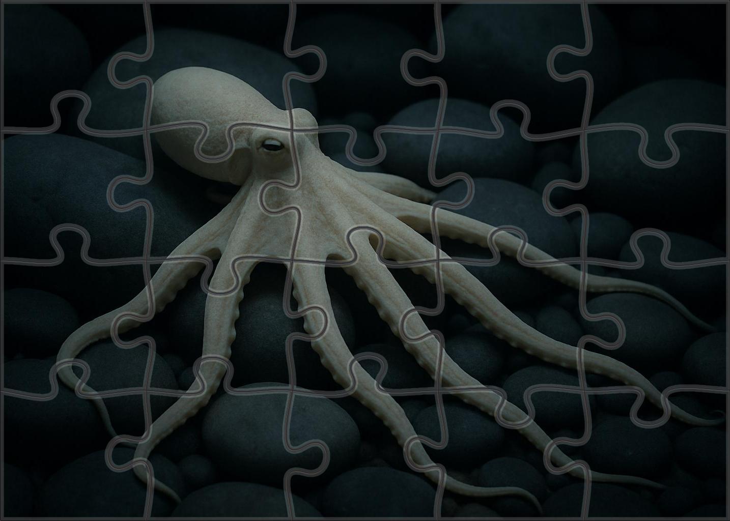 Ivory Tentacle Octopus Small Cephalopod With Long Slender Arms And Pale Coloration Easy Puzzles