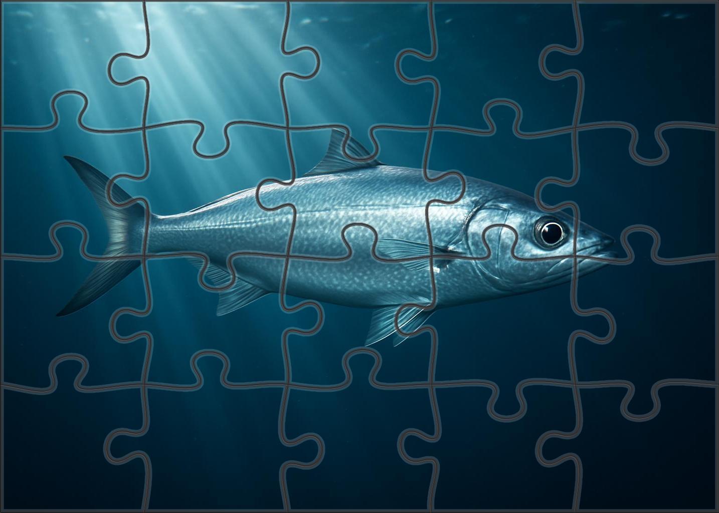 Silverfin Houndfish Agile Midwater Predator Challenging Puzzles
