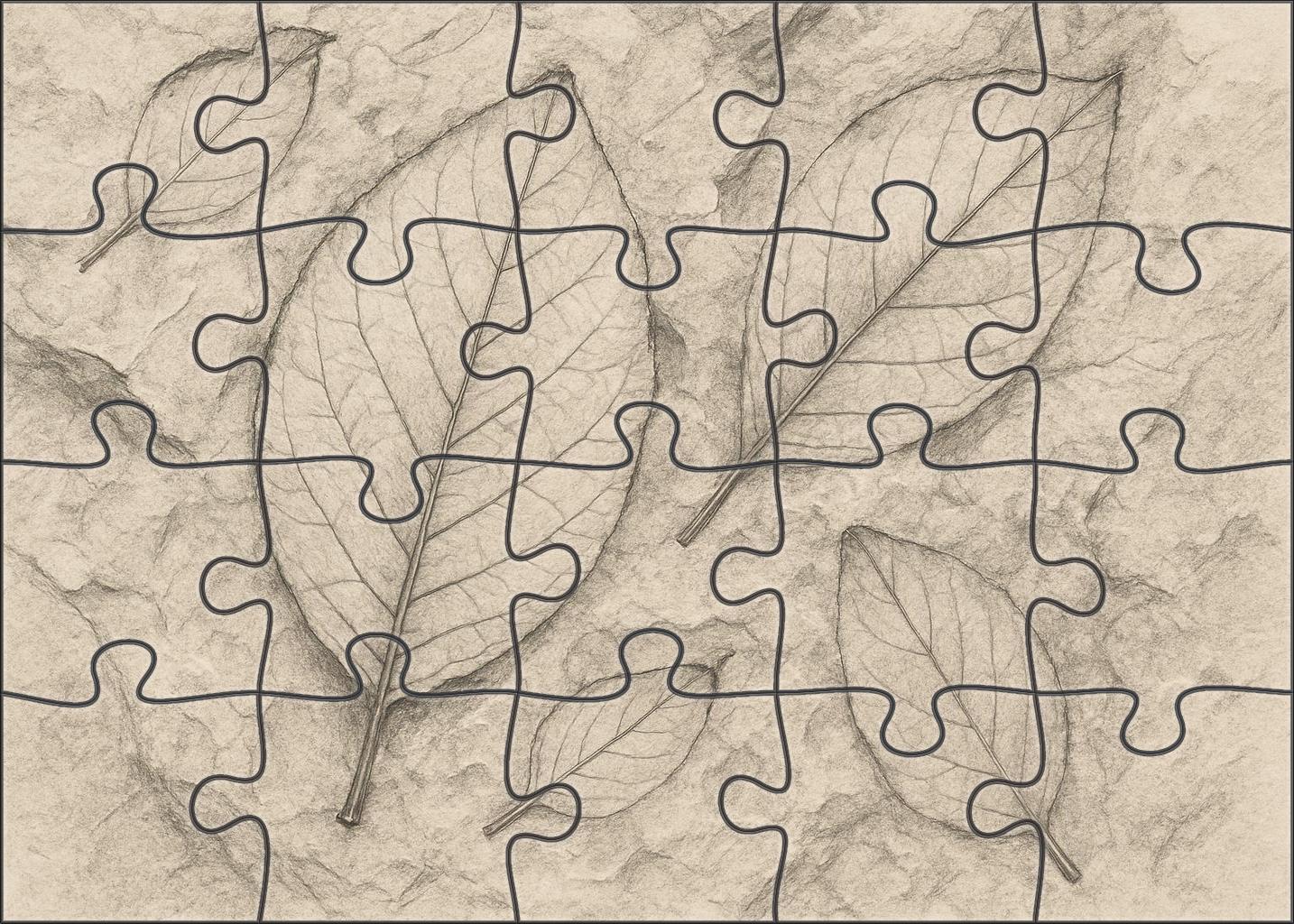Fossil Imprint Study Graphite And Ink Wash Textural Contrast Puzzle Challenge