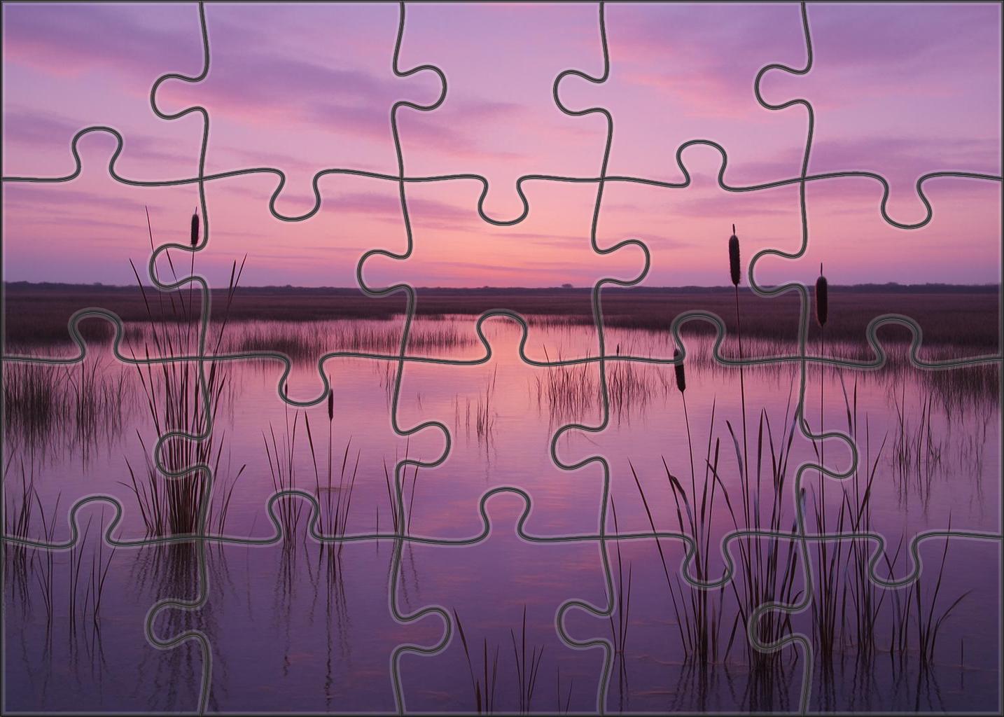 Serene Marshland Dusk Puzzle Collection