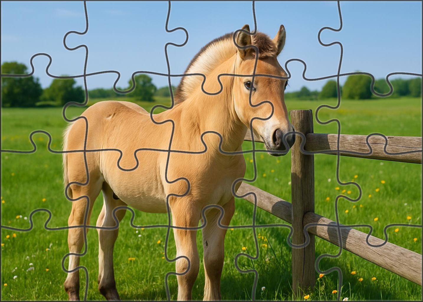 Snowcap Fjord Pony Colt 1000 Piece Puzzle