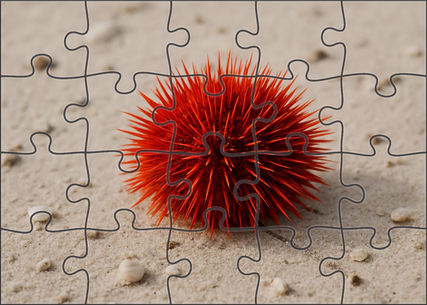 Crimson Spine Urchin Spiny Sentinel Of Sandy Slopes 200 Piece Puzzle