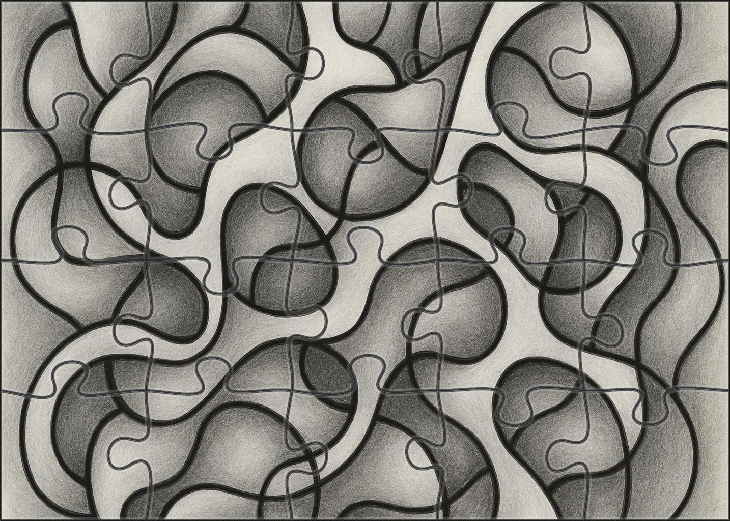 Abstract Organic Form Exploration Graphite And Ink Mixed Media Lines Puzzle For Kids