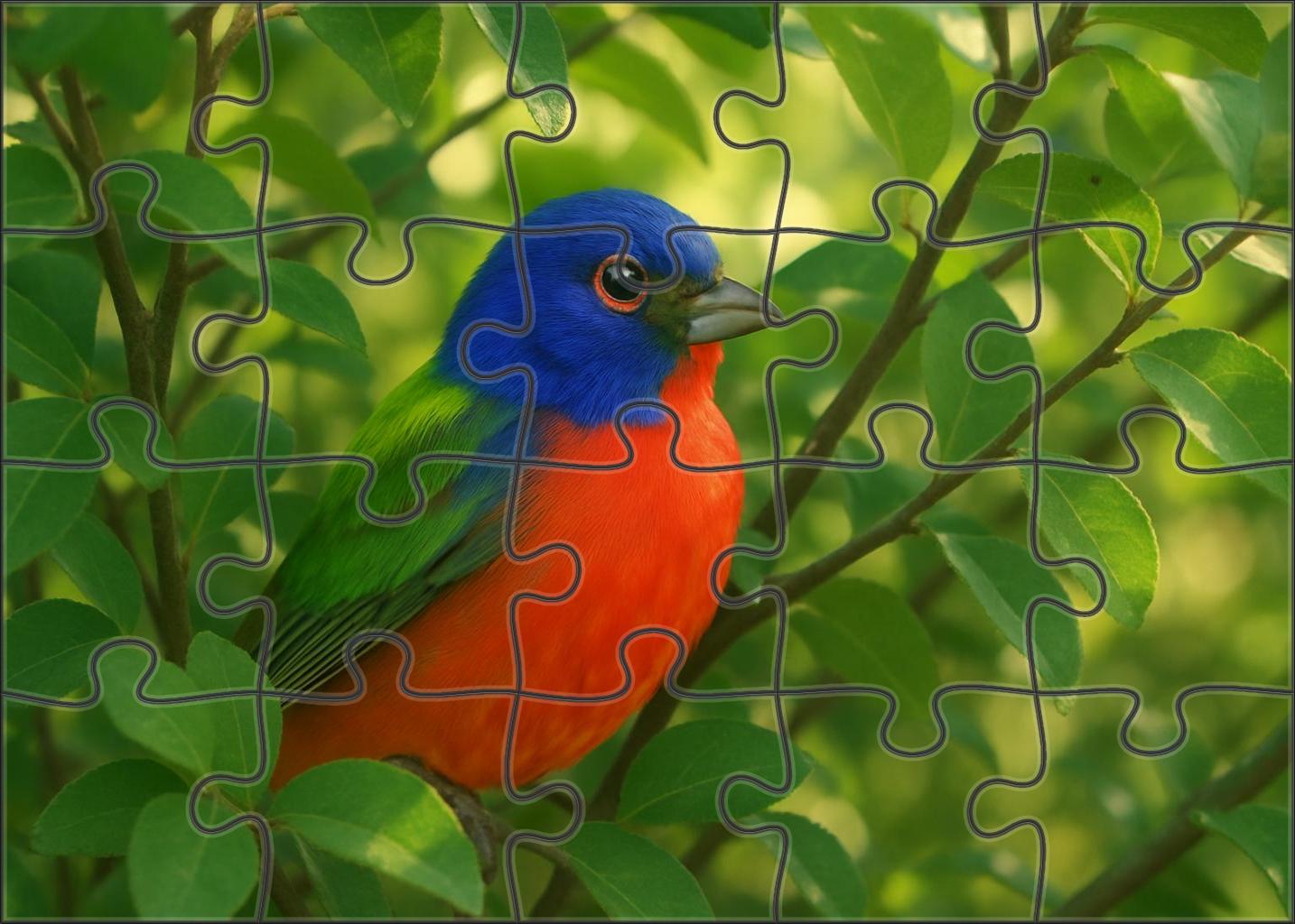 Painted Bunting The Rainbow Songbird Large Format Puzzle