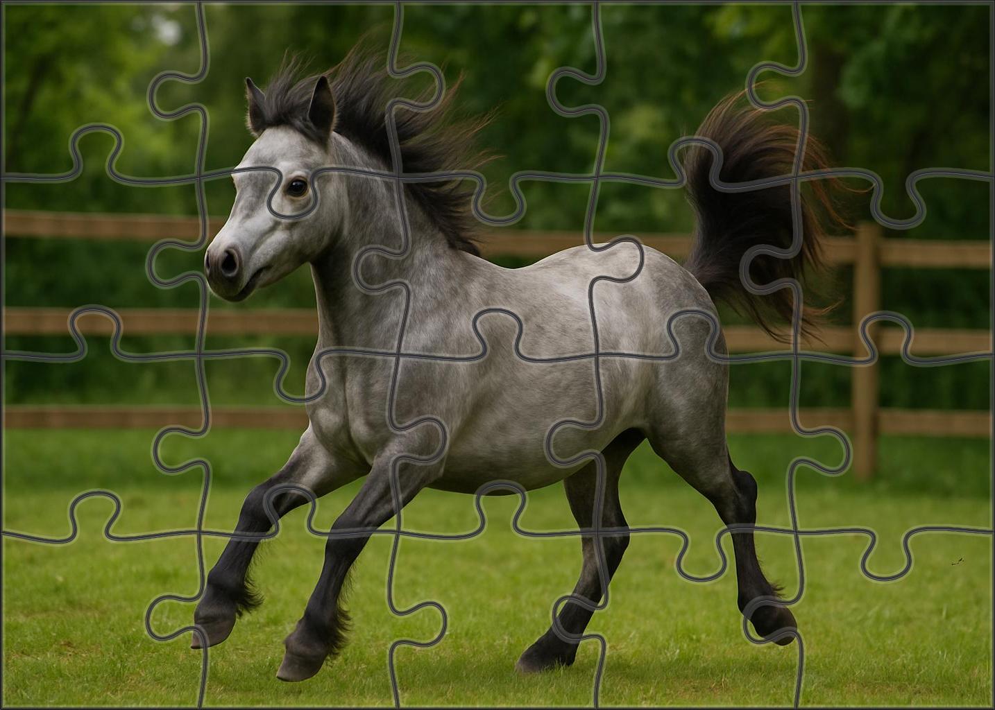 Silver Frost Pony Petite Gray Pony With Lively Expression And Quick Movements Easy Puzzles