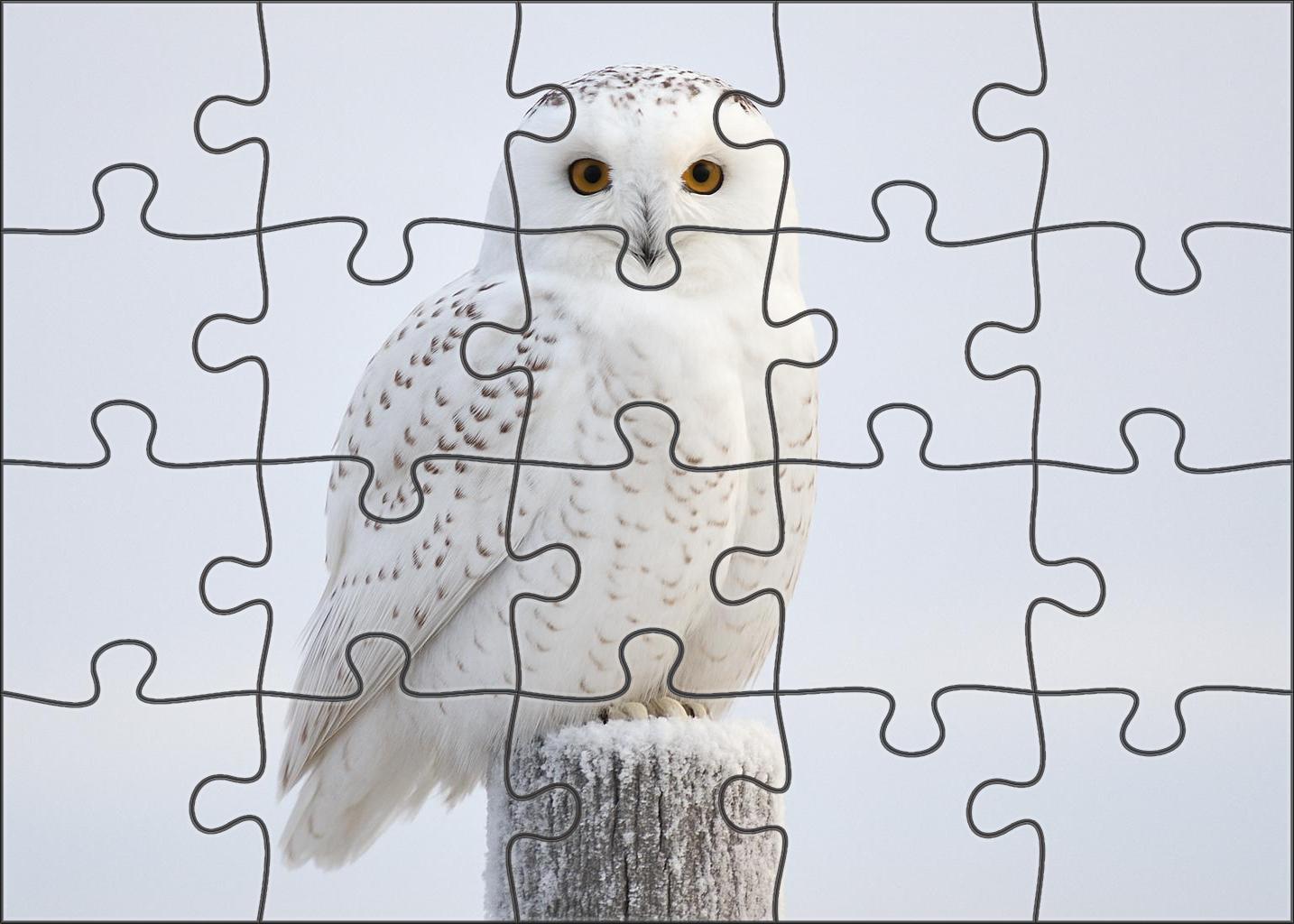 Snowy Owl The Arctic Sentinel Large Format Puzzle