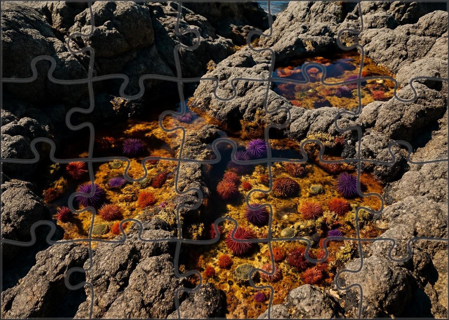 Amber Tidepool Oasis 300 Piece Puzzle