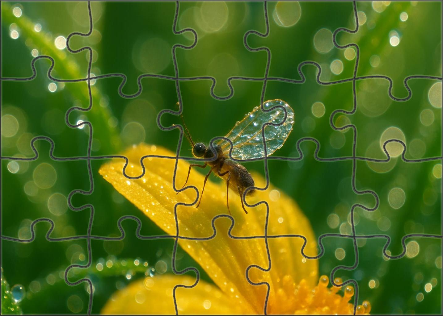 Crystal Featherwing Minute Insect With Transparent Wings Sparkling Like Glass 100 Piece Puzzle