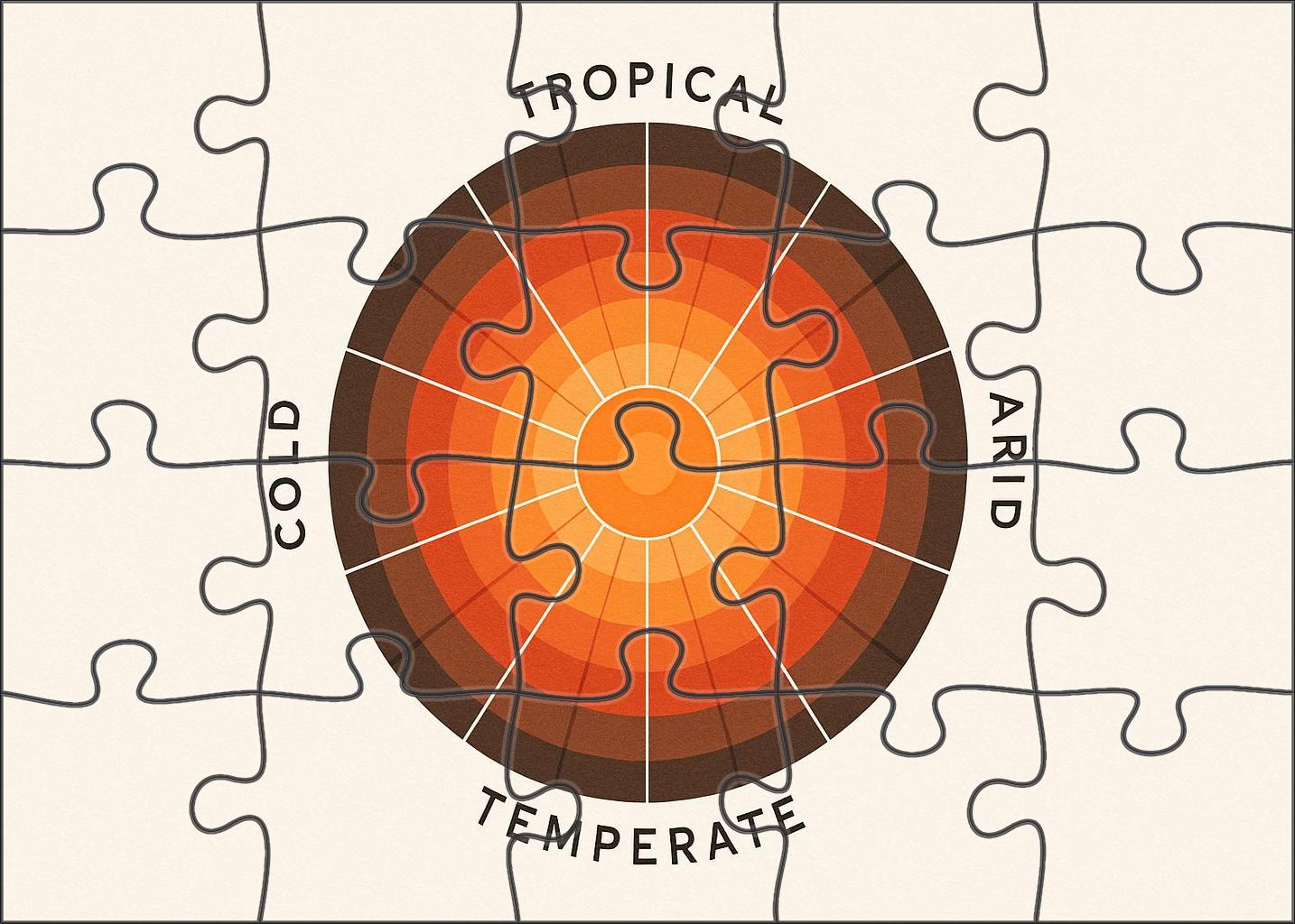 Abstract Climate Zone Radial Chart 50 Piece Puzzle