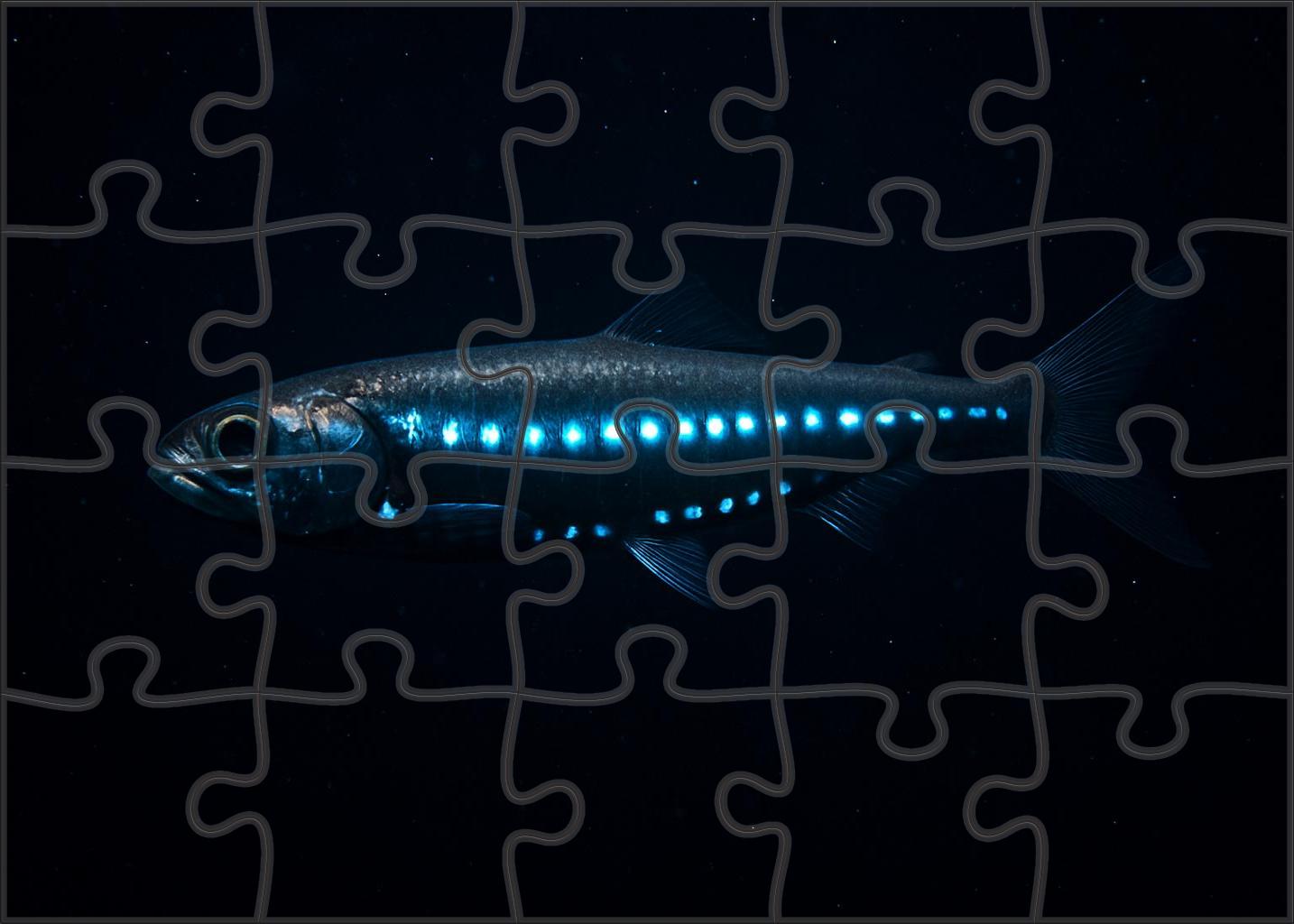 Celestial Lanternfish Deep Water Dweller With Bioluminescent Photophores Easy Puzzles