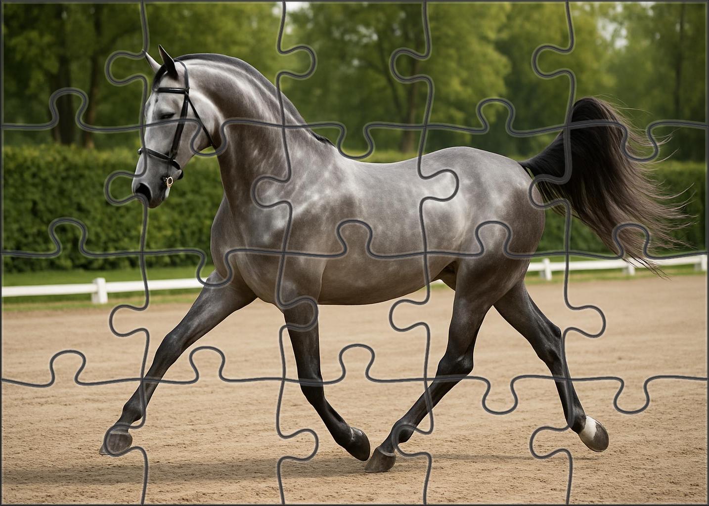 Silver Mist Dressage Mare Sleek Gray With Elevated Elegance Puzzle Collection