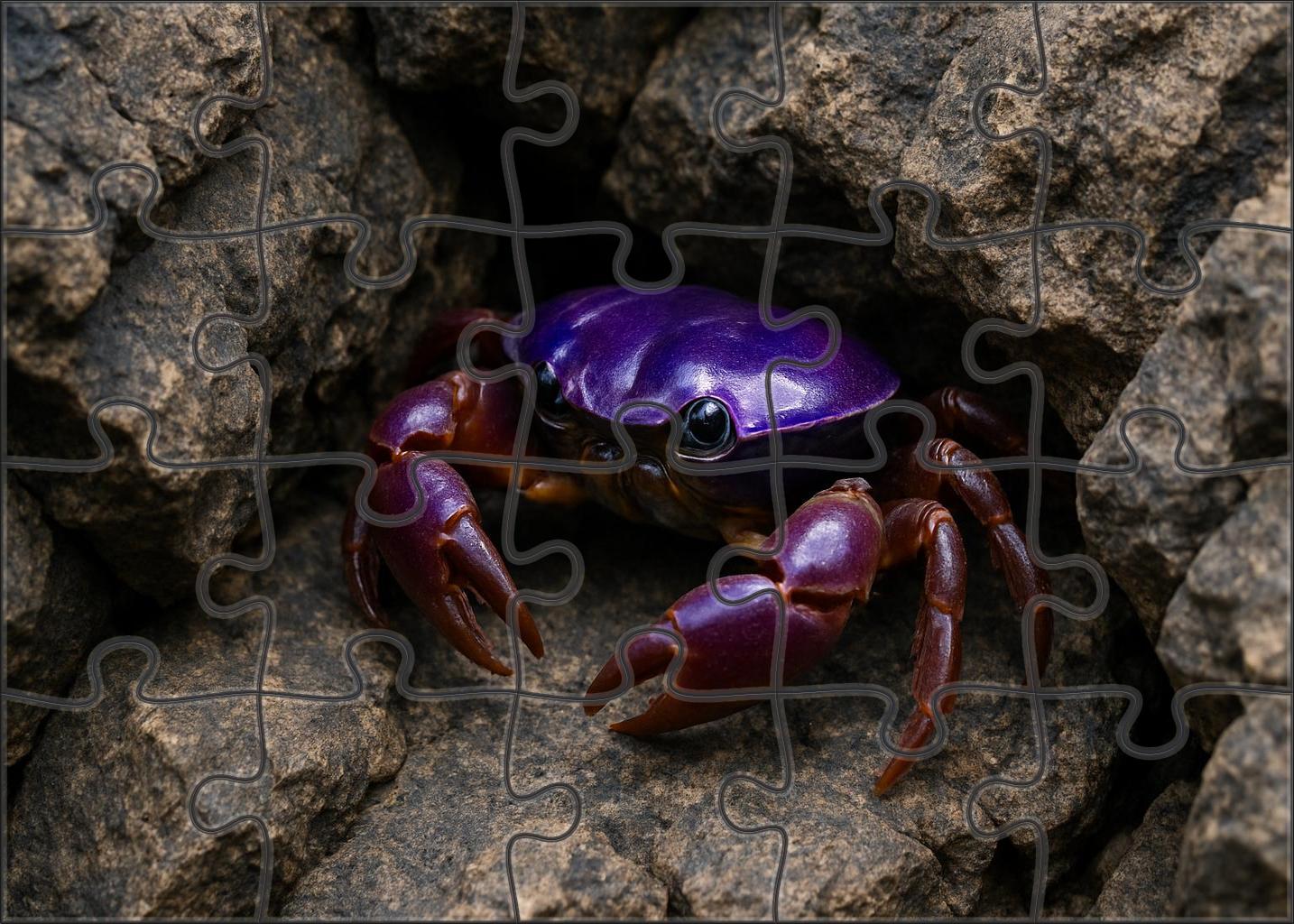 Violet Armored Crab Compact Crustacean With Reflective Carapace Mini Puzzle