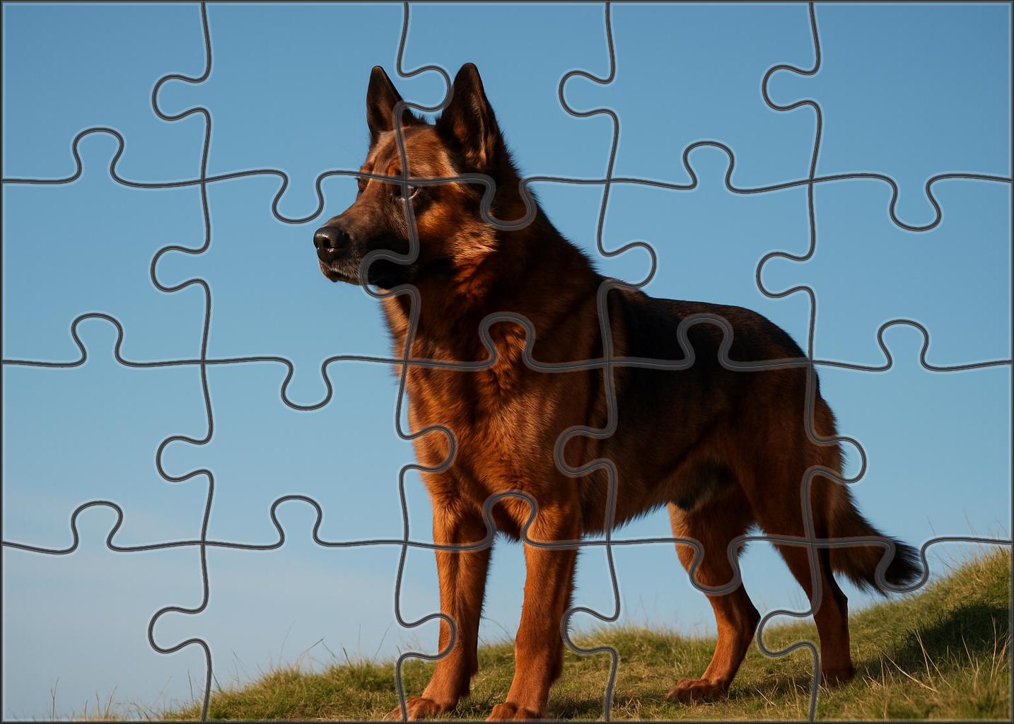 Chestnut Ridge 20 Piece Puzzle