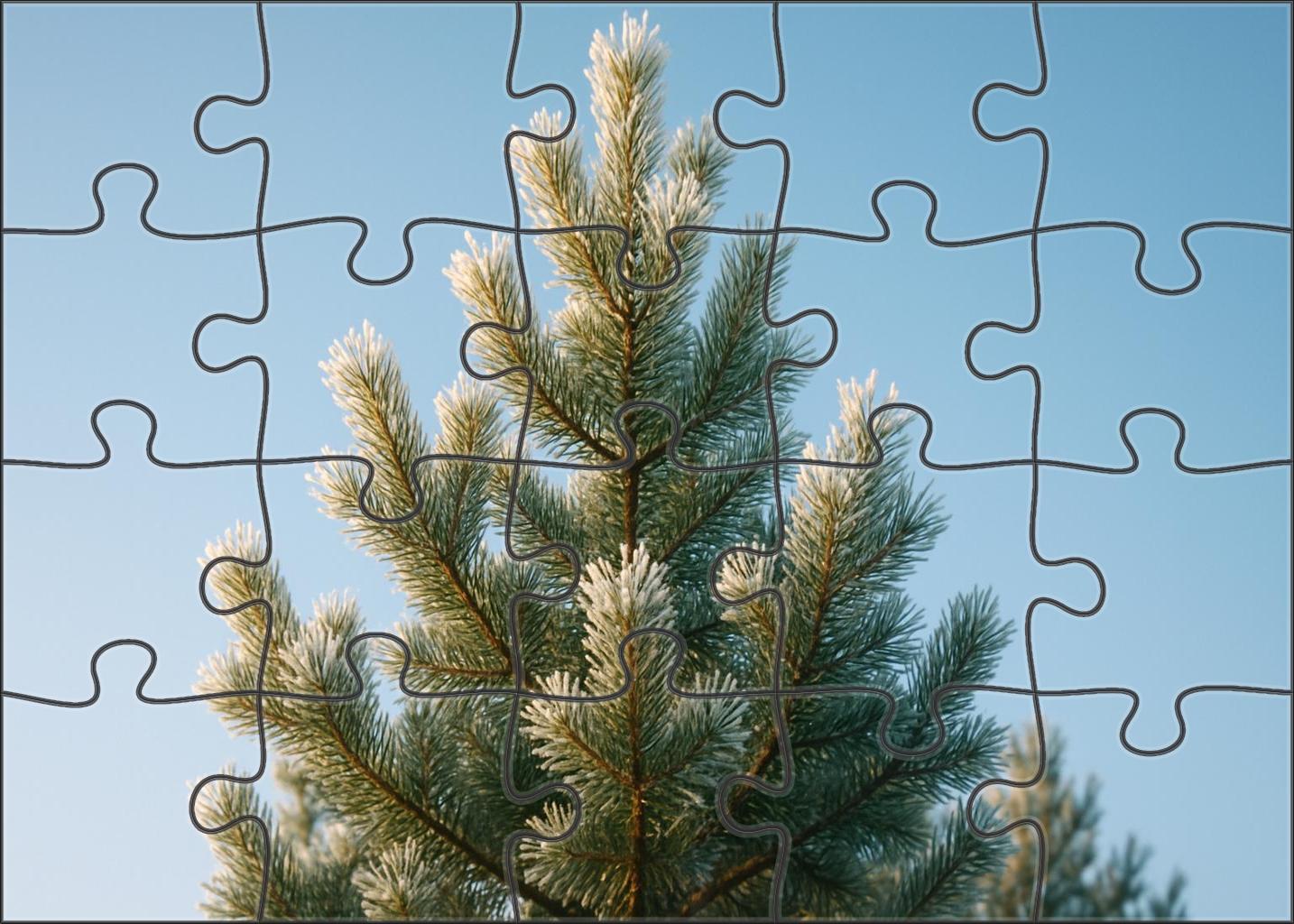 Frosted Pine Summit Puzzle For Kids
