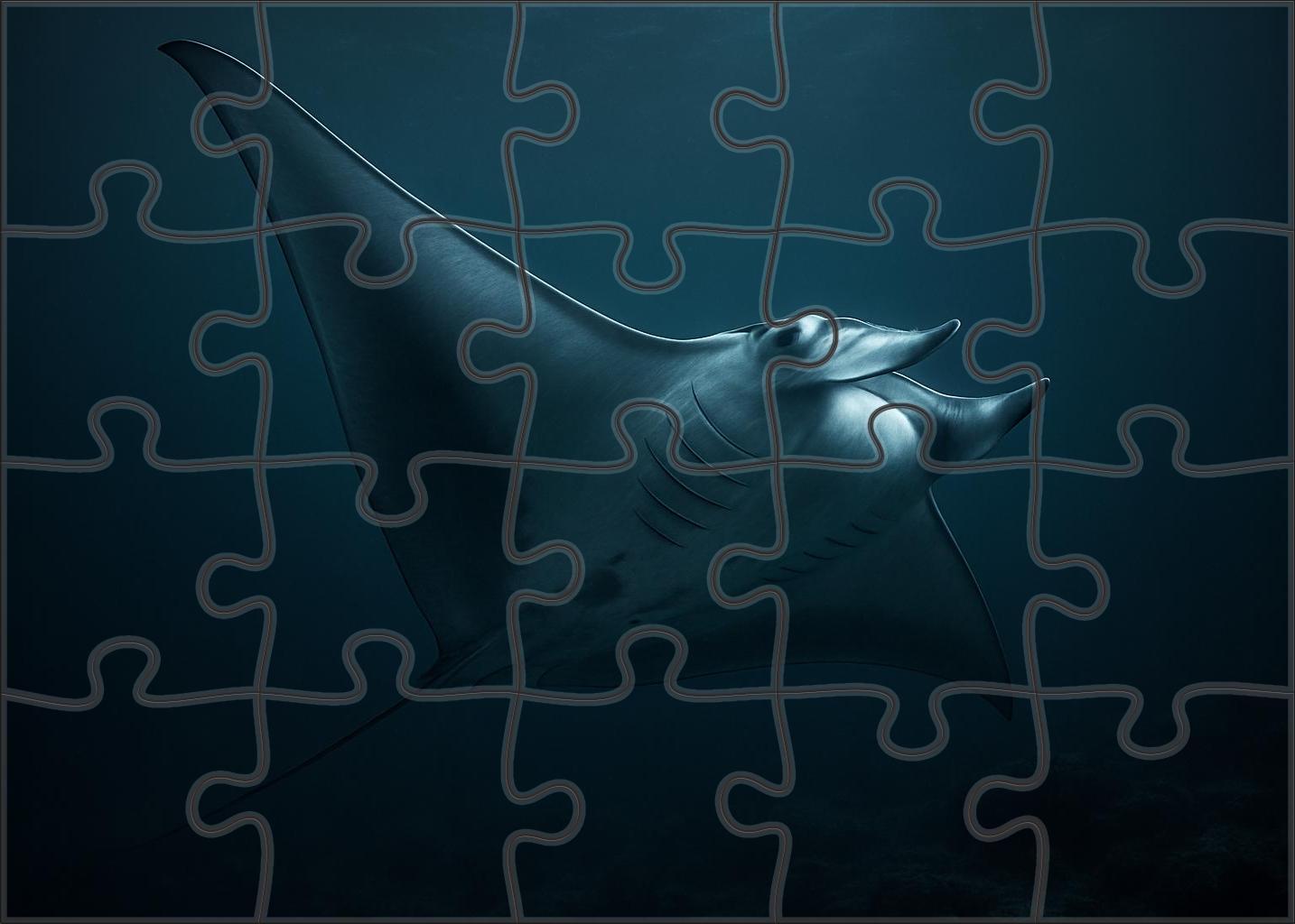 Moonlit Manta 20 Piece Puzzle