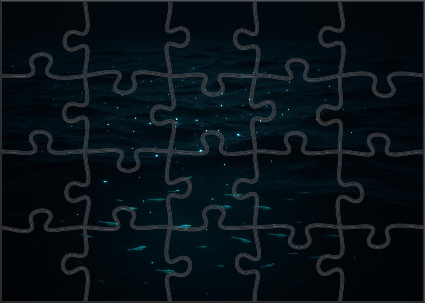 Moonlit Open Ocean Drift 100 Piece Puzzle